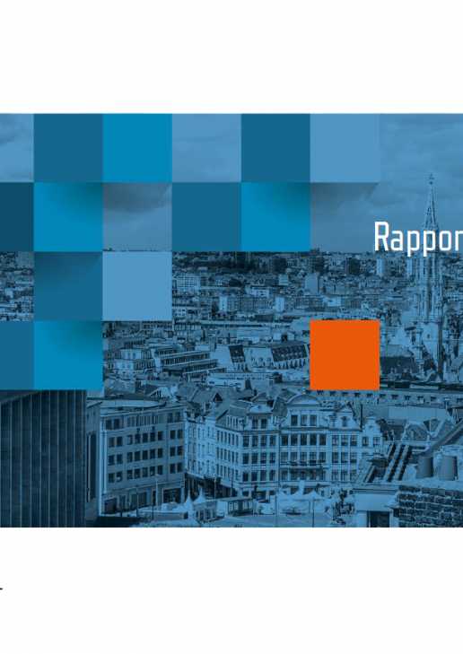 Rapport annuel 2015