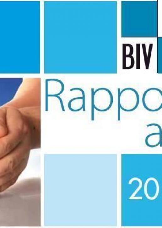 Rapport annuel 2012