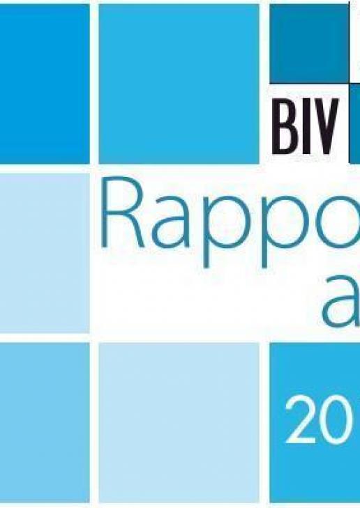 Rapport annuel 2013